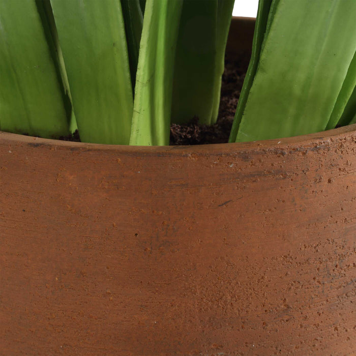 Sincerity Hyacinth Plant Terracotta-Home Accents-Uttermost-Lighting Design Store