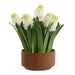 Sincerity Hyacinth Plant Terracotta-Home Accents-Uttermost-Lighting Design Store