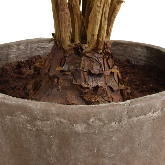 Zamia Planter Rustic-Home Accents-Uttermost-Lighting Design Store