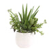 Sundown Succulent Planter Gloss White-Home Accents-Uttermost-Lighting Design Store