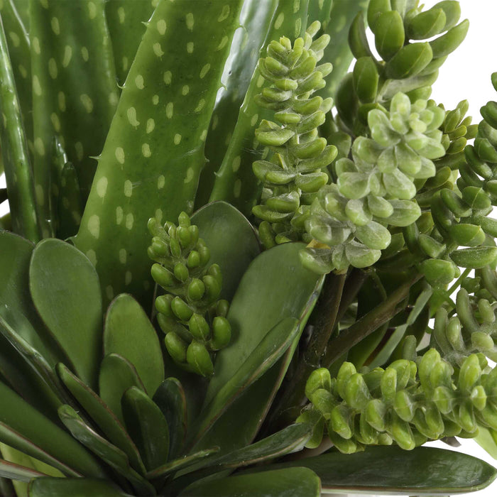 Sundown Succulent Planter Gloss White-Home Accents-Uttermost-Lighting Design Store