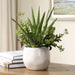 Sundown Succulent Planter Gloss White-Home Accents-Uttermost-Lighting Design Store