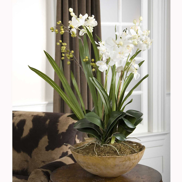 Moth Orchid Planter Natural Brown-Home Accents-Uttermost-Lighting Design Store