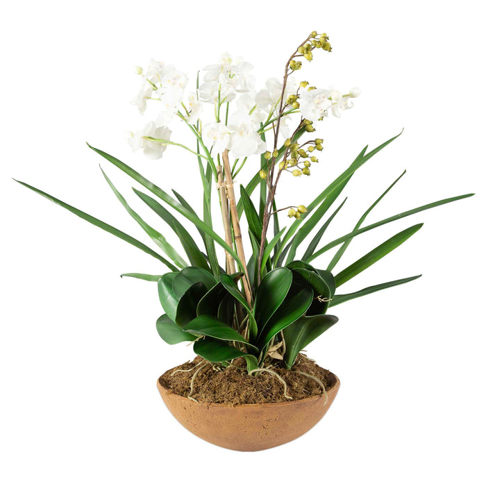 Moth Orchid Planter Natural Brown-Home Accents-Uttermost-Lighting Design Store