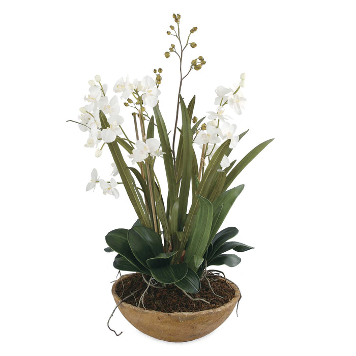 Moth Orchid Planter Natural Brown-Home Accents-Uttermost-Lighting Design Store