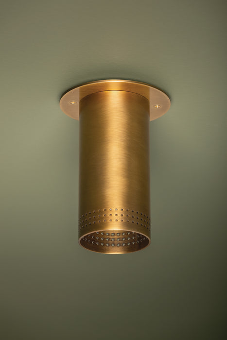 Bronze ceiling light fixture on a green wall