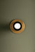 Round ceiling light fixture on a green ceiling