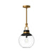 Copperfield One Light Pendant Aged Gold/Clear Glass-Pendants-Alora-Lighting Design Store