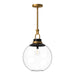 Copperfield One Light Pendant Aged Gold/Clear Glass-Pendants-Alora-Lighting Design Store