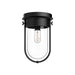 Cyrus One Light Flush Mount Clear Glass/Matte Black-Flush Mounts-Alora-Lighting Design Store