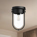 Cyrus One Light Flush Mount Clear Glass/Matte Black-Flush Mounts-Alora-Lighting Design Store
