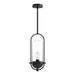 Cyrus One Light Pendant Clear Glass/Matte Black-Mini Pendants-Alora-Lighting Design Store