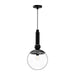Delilah One Light Pendant Clear Glass/Matte Black-Mini Pendants-Alora-Lighting Design Store