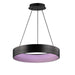 iQ WiZ LED Pendant-Pendants-ET2-Lighting Design Store