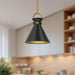 Emerson One Light Pendant Aged Gold/Matte Black-Mini Pendants-Alora-Lighting Design Store