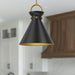 Emerson One Light Pendant Aged Gold/Matte Black-Pendants-Alora-Lighting Design Store