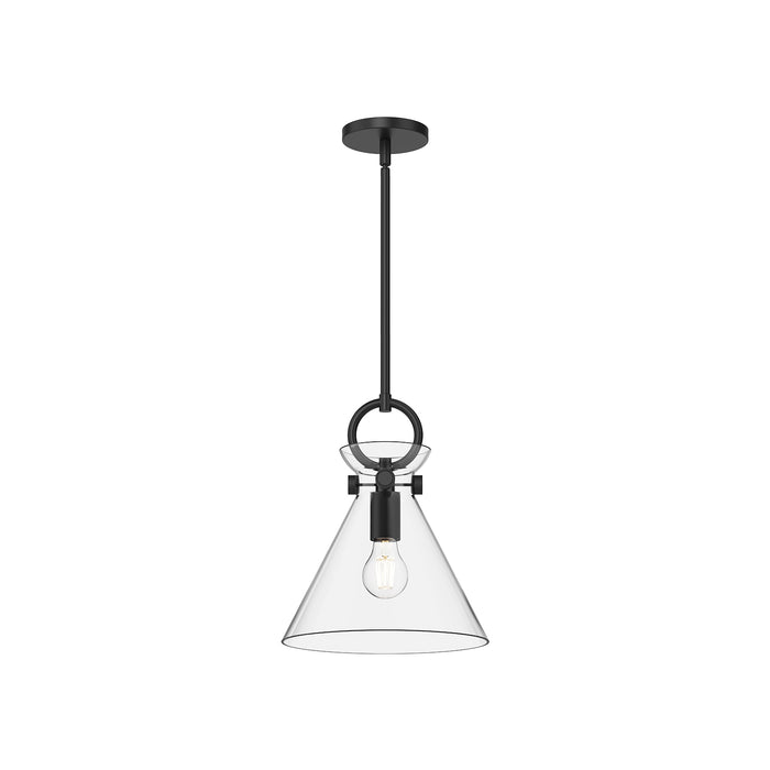 Emerson One Light Pendant Matte Black/Clear Glass-Mini Pendants-Alora-Lighting Design Store
