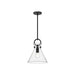Emerson One Light Pendant Matte Black/Clear Glass-Mini Pendants-Alora-Lighting Design Store