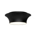 Emiko Two Light Flush Mount Matte Black-Flush Mounts-Alora-Lighting Design Store