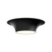 Emiko Two Light Flush Mount Matte Black-Flush Mounts-Alora-Lighting Design Store
