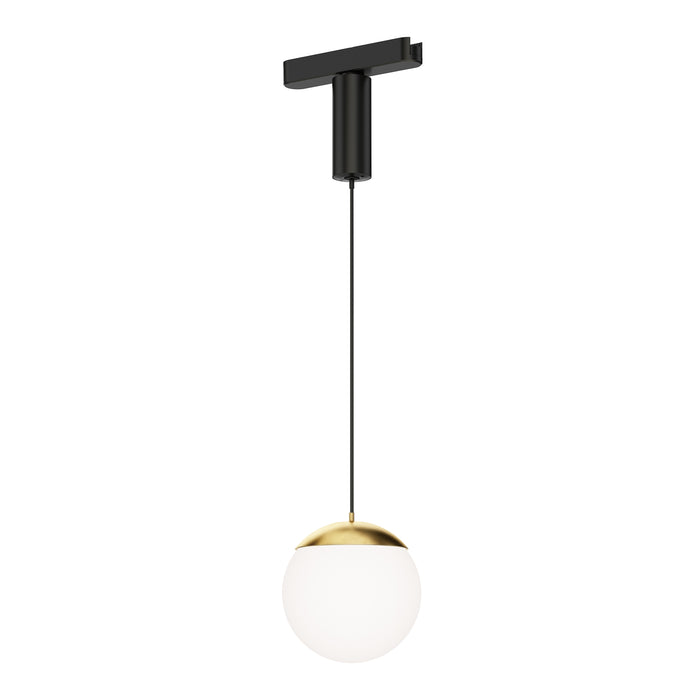 Globe pendant hanging from black cord