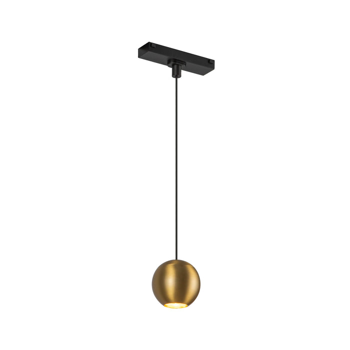 Faria LED Pendant Brushed Gold-Track-Kuzco Lighting-Lighting Design Store