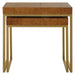 Burl-esque Nesting Tables, S/2-Uttermost-Lighting Design Store