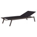 Bea Pool Chaise Black-Furniture-Uttermost-Lighting Design Store
