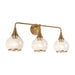 Hazel Three Light Bathroom Fixtures Aged Gold/Clear Glass-Bathroom Fixtures-Alora-Lighting Design Store