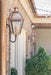Rue De Royal Outdoor Wall Lantern-Exterior-Quoizel-Lighting Design Store