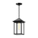 Larchmont One Light Exterior Pendant Clear Glass/Textured Black-Exterior-Alora-Lighting Design Store
