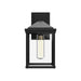 Larchmont One Light Exterior Wall Mount Clear Glass/Textured Black-Exterior-Alora-Lighting Design Store