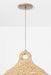 Lechlan One Light Pendant-Pendants-Troy Lighting-Lighting Design Store