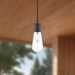 Marcel One Light Outdoor Pendant Clear Bubble Glass/Textured Black-Mini Pendants-Alora-Lighting Design Store
