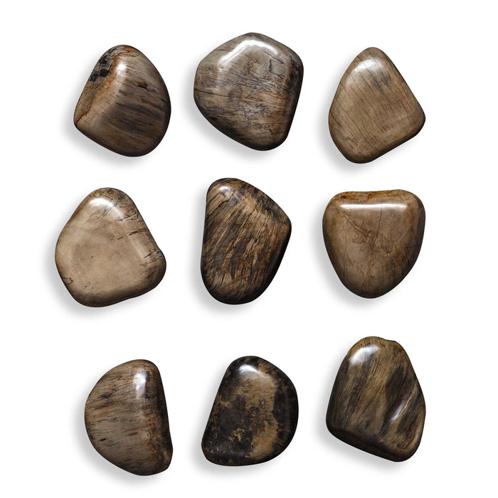 Pebbles Wall Decor, S/9 Walnut Brown-Mirrors/Pictures-Uttermost-Lighting Design Store