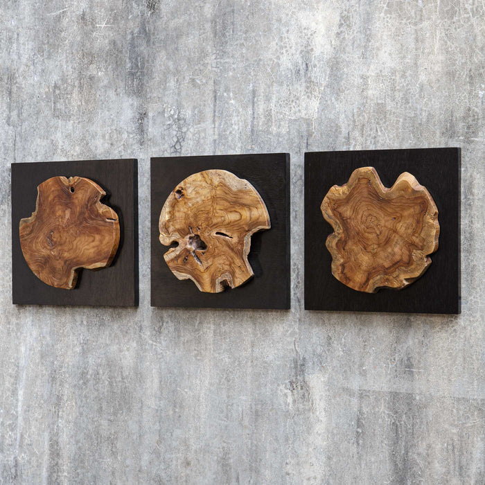 Kolini Wall Decor, S/3 Satin Black-Home Accents-Uttermost-Lighting Design Store