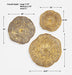Radiance Wall Decor Set/3 Gold With Natural-Mirrors/Pictures-Uttermost-Lighting Design Store