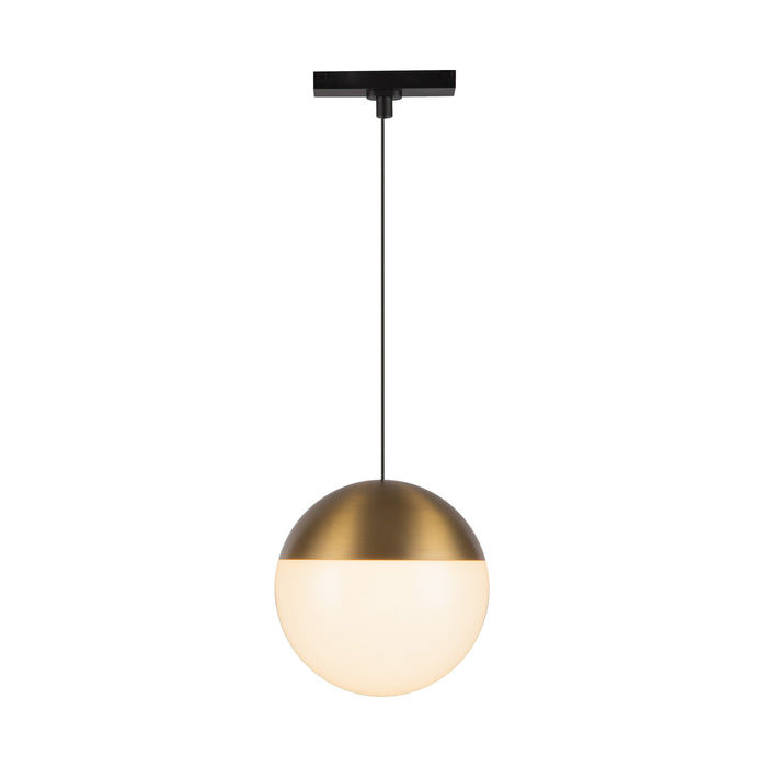 Monae LED Pendant Brushed Gold-Track-Kuzco Lighting-Lighting Design Store