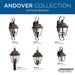 Andover Hanging Lantern-Exterior-Progress Lighting-Lighting Design Store