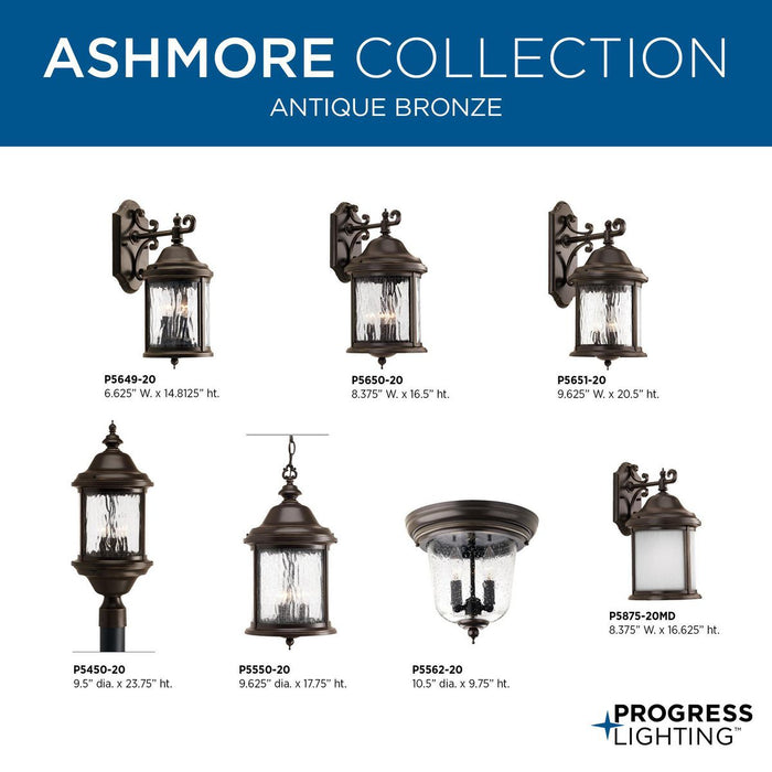 Ashmore Close to Ceiling-Exterior-Progress Lighting-Lighting Design Store