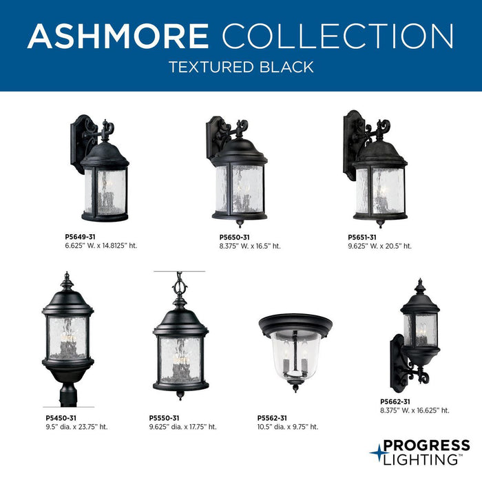 Ashmore Hanging Lantern-Exterior-Progress Lighting-Lighting Design Store