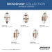 Bradshaw Outdoor Wall Lantern-Exterior-Progress Lighting-Lighting Design Store