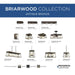Briarwood 22" Ceiling Fan-Fans-Progress Lighting-Lighting Design Store