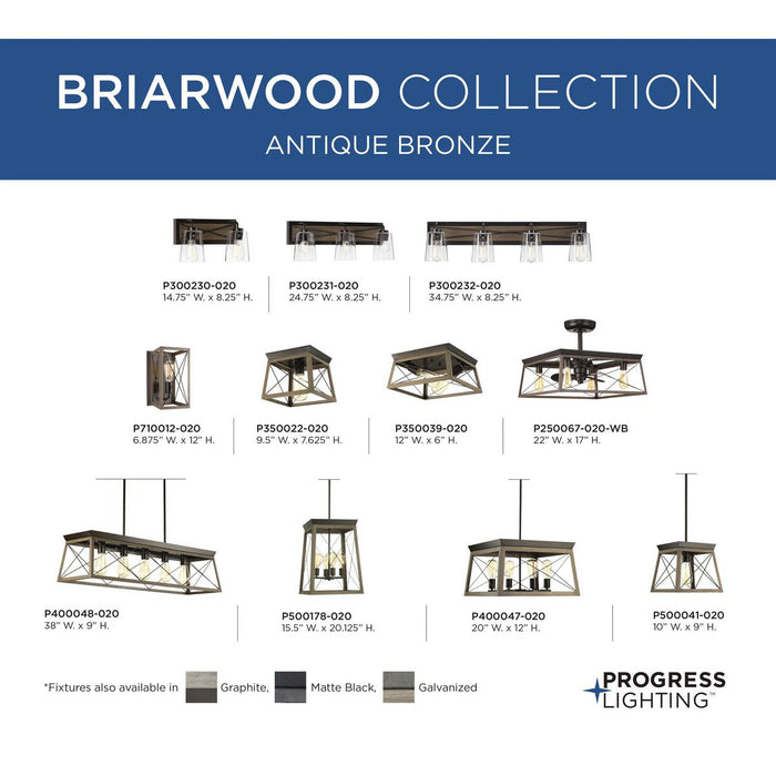 Briarwood Linear Chandelier-Linear/Island-Progress Lighting-Lighting Design Store