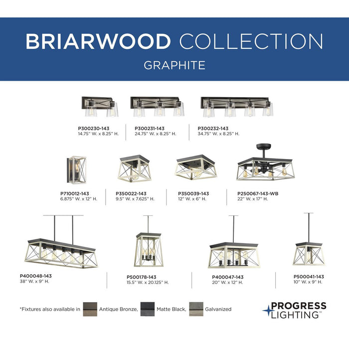 Briarwood Wall Sconce-Sconces-Progress Lighting-Lighting Design Store