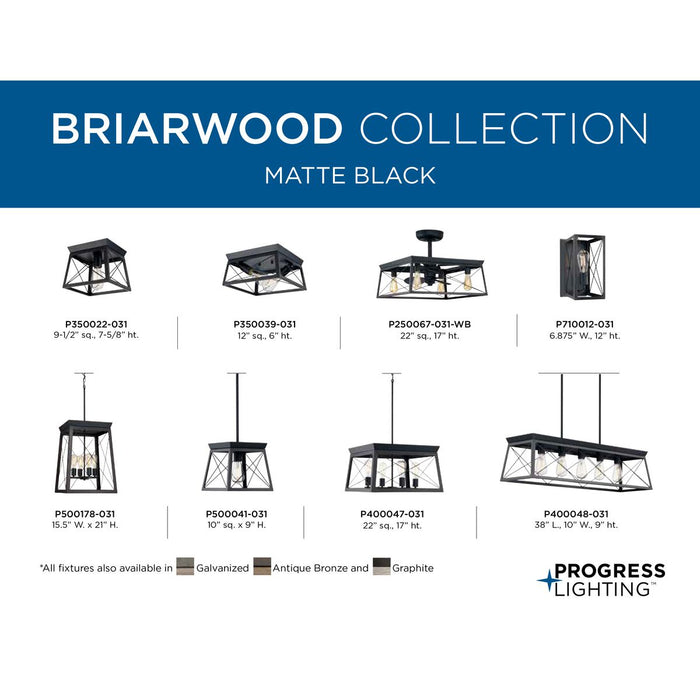 Briarwood Pendant-Mini Pendants-Progress Lighting-Lighting Design Store