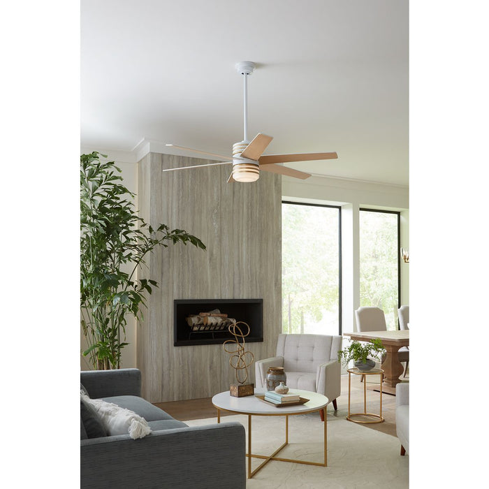 Carrollwood 56" Ceiling Fan-Fans-Progress Lighting-Lighting Design Store