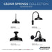 Cedar Springs Wall Lantern-Exterior-Progress Lighting-Lighting Design Store