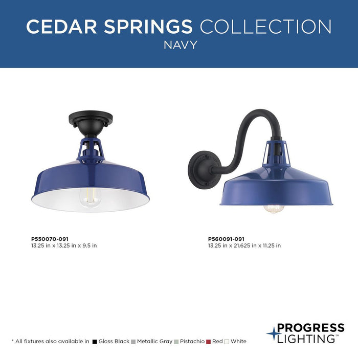 Cedar Springs Semi Flush Mount-Exterior-Progress Lighting-Lighting Design Store