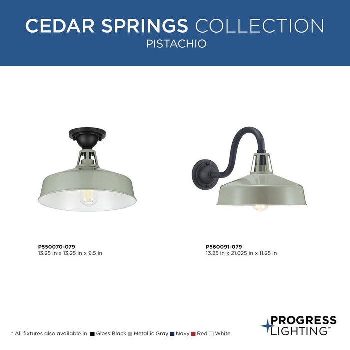 Cedar Springs Semi Flush Mount-Exterior-Progress Lighting-Lighting Design Store